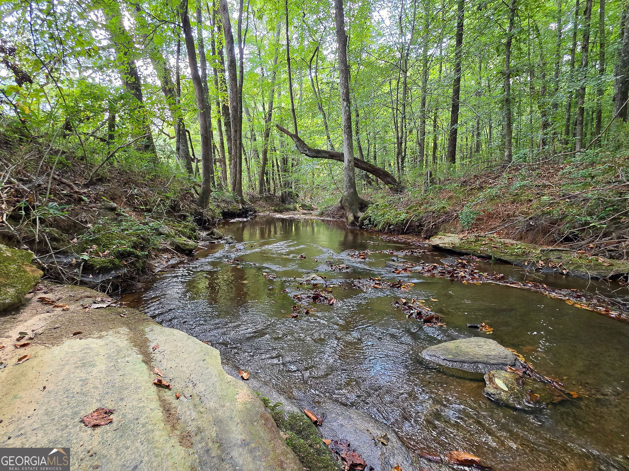 0 Ellerbeetown Road Thomaston, GA 30286 - Photo 17 of 24 a view of a water with large trees