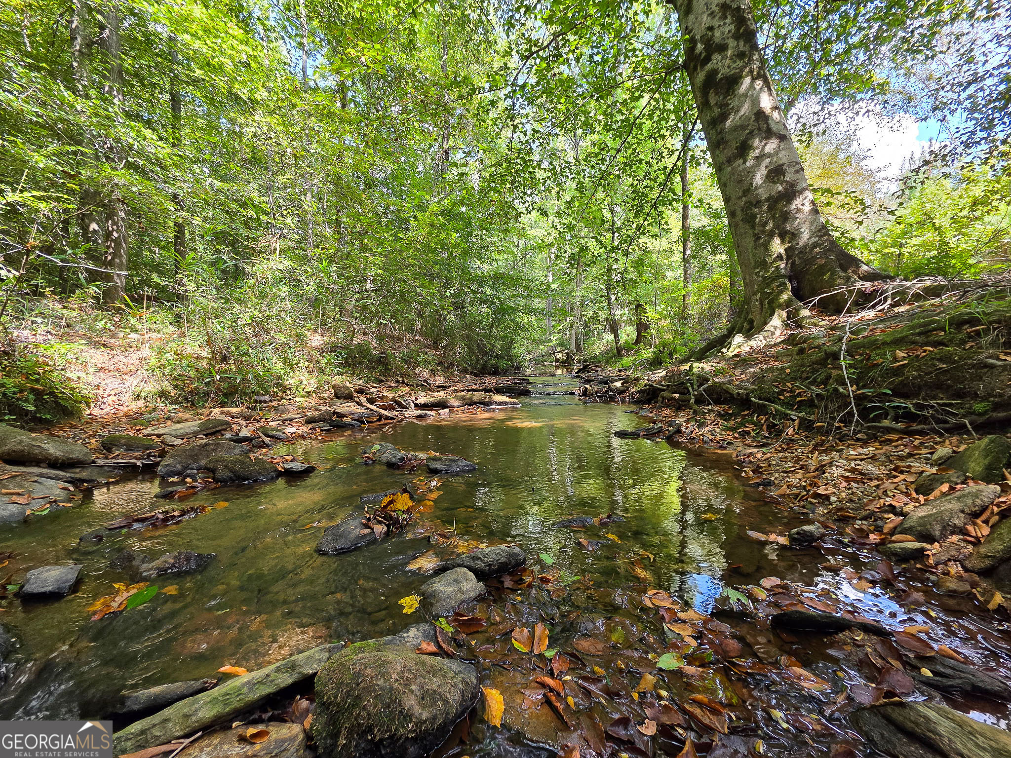 0 Ellerbeetown Road Thomaston, GA 30286 - Photo 21 of 24 a view of lake