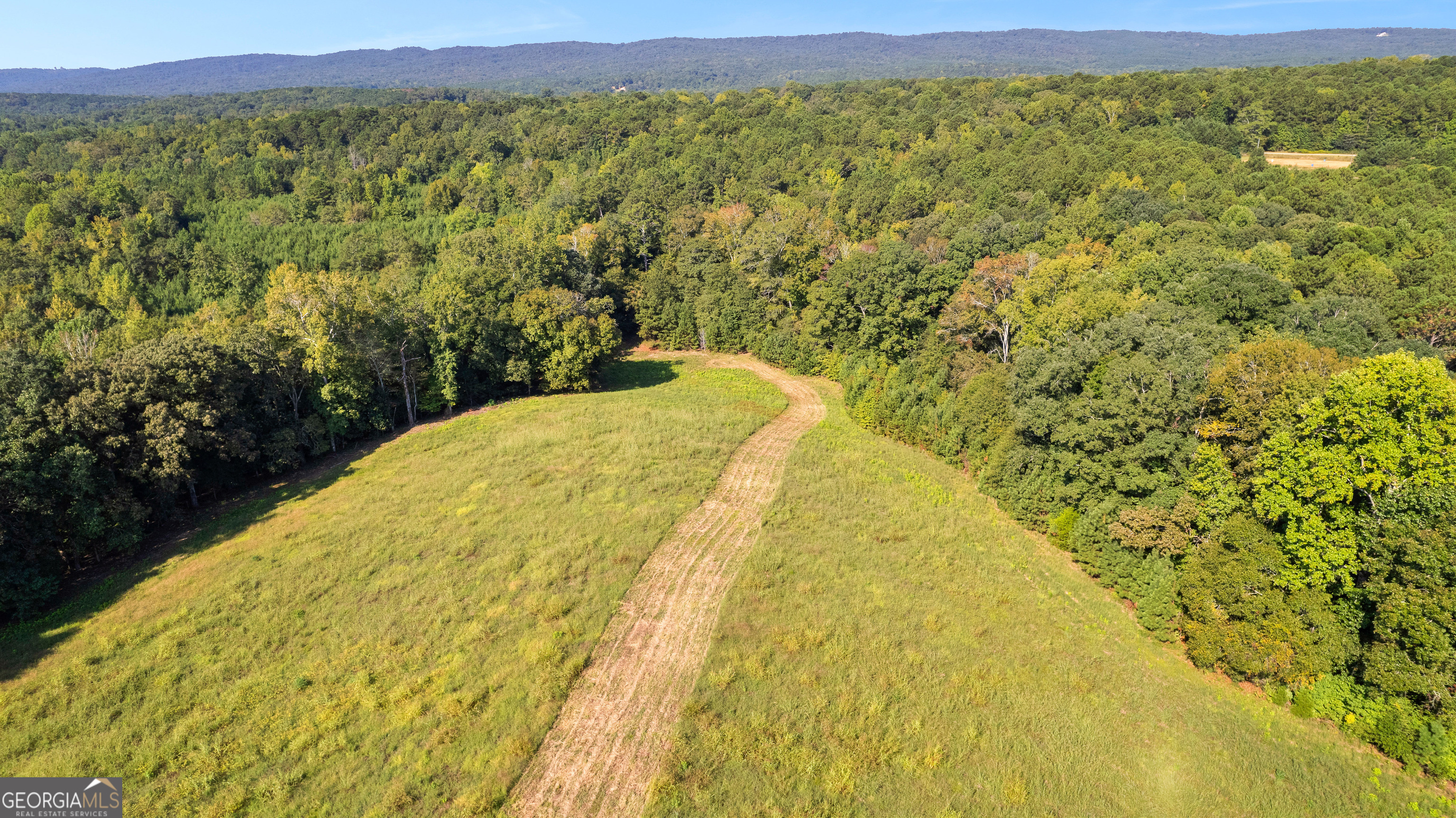 0 Ellerbeetown Road Thomaston, GA 30286 - Photo 7 of 24 a view of a large mountain with a lake view