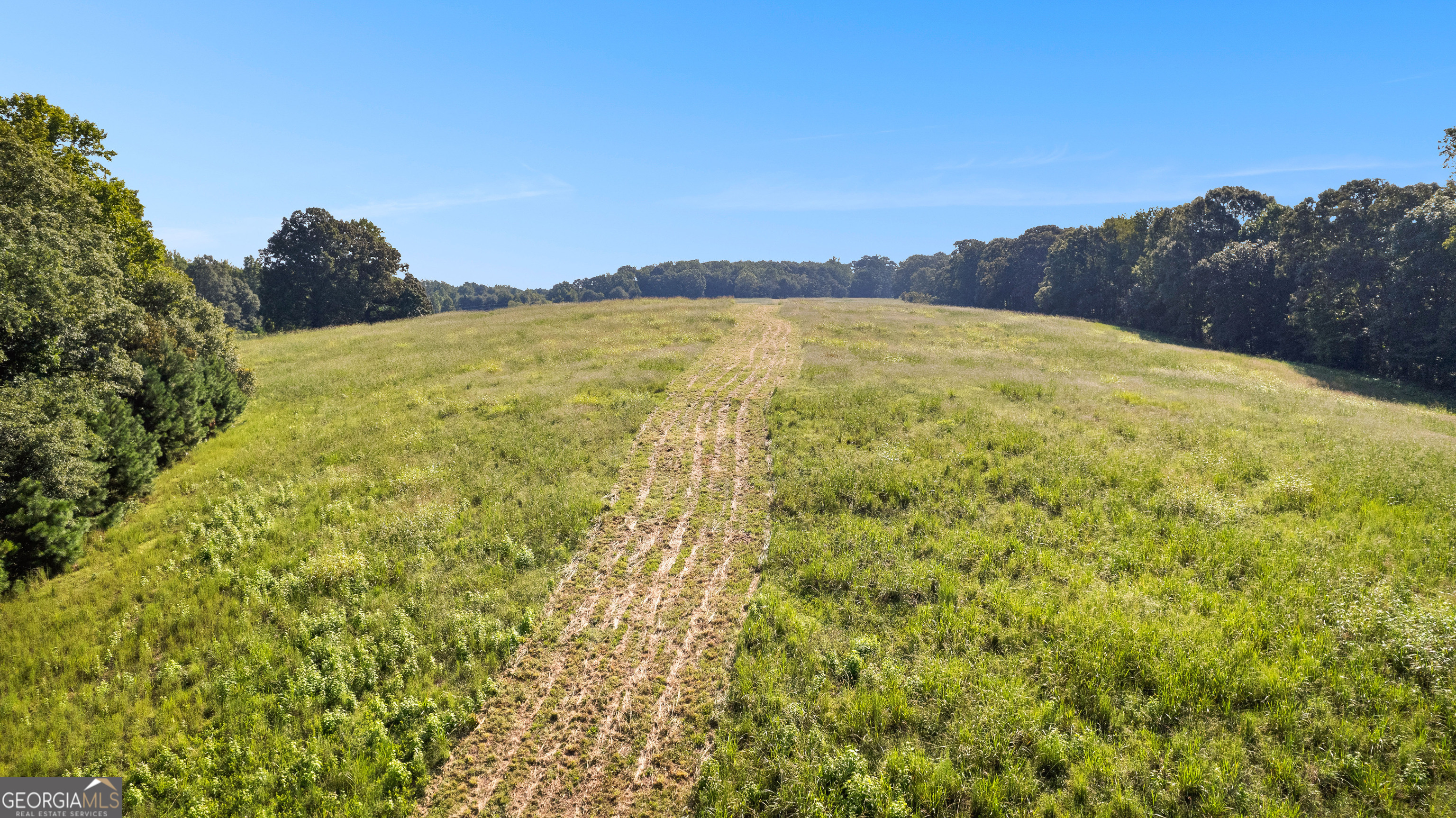 0 Ellerbeetown Road Thomaston, GA 30286 - Photo 9 of 24 a view of ocean