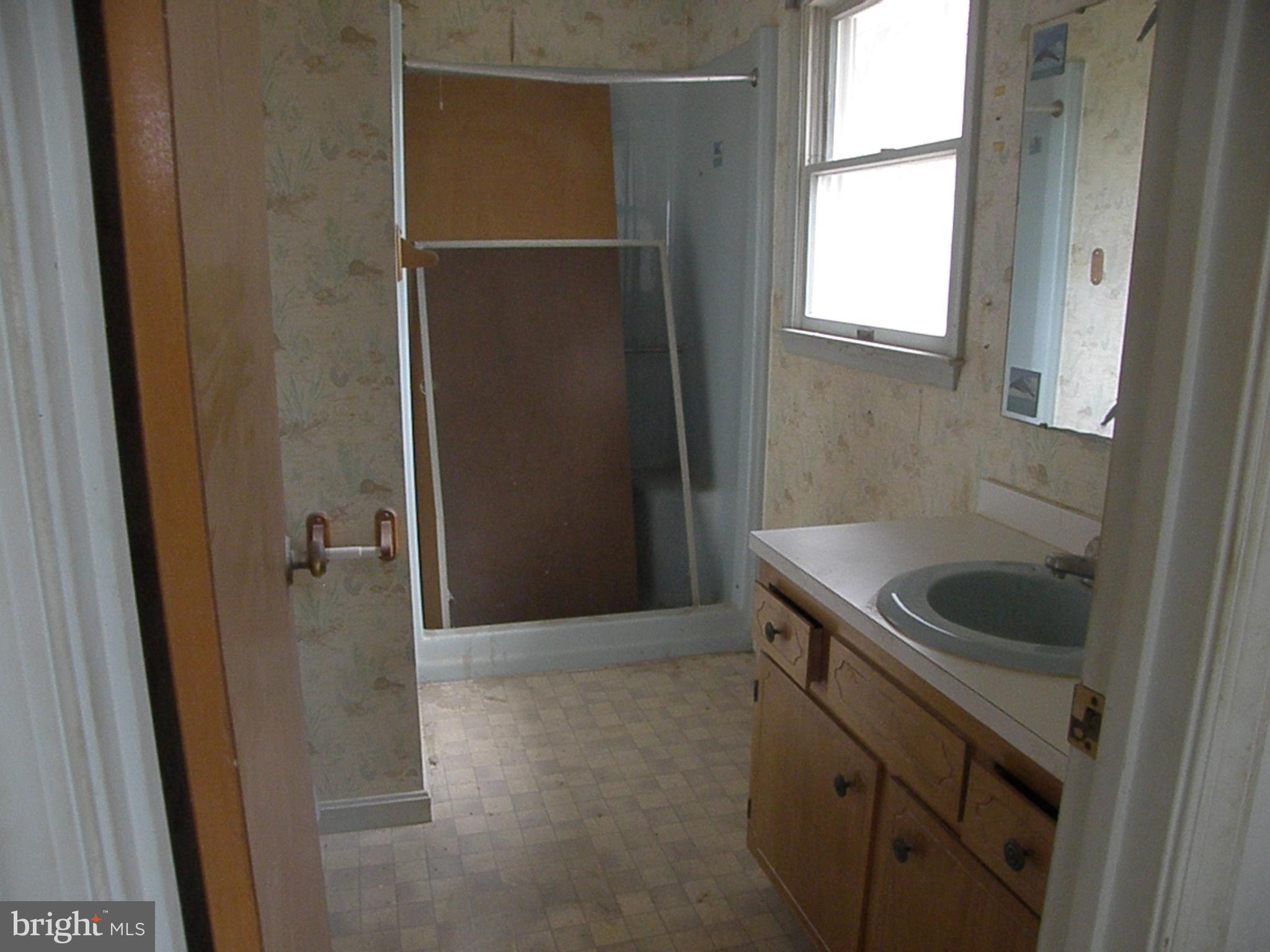 9234 Fawn Road Bridgeville, DE 19933 - Photo 8 of 13 Primary Bath