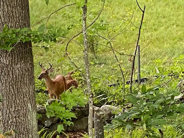 $885,000 | 55 Phoebe Street, Unit 32, Methuen, MA 01844