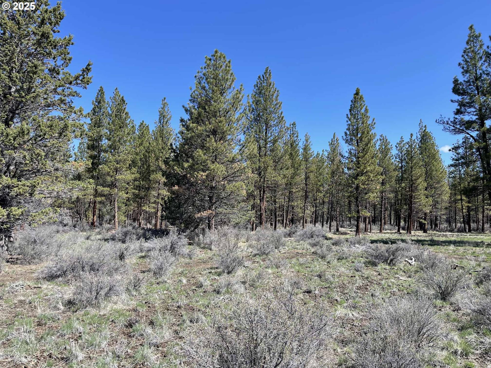 44 Off Nf Road, Unit 1600 Chiloquin, OR 97624 - Photo 17 of 33 a view of outdoor space with trees all around
