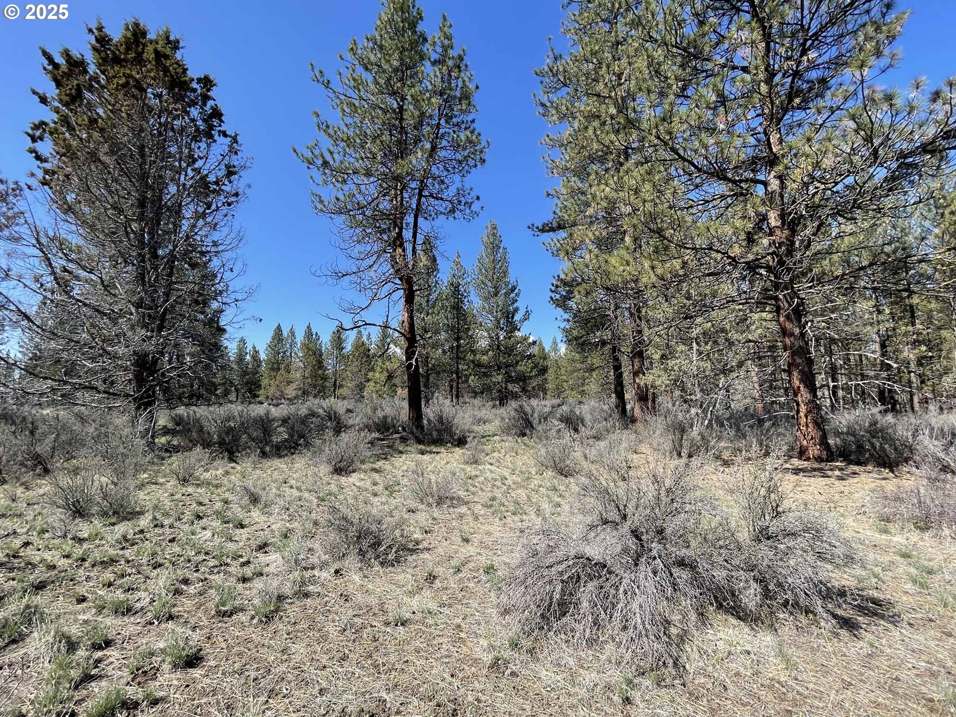 44 Off Nf Road, Unit 1600 Chiloquin, OR 97624 - Photo 18 of 33 a view of a yard covered in snow