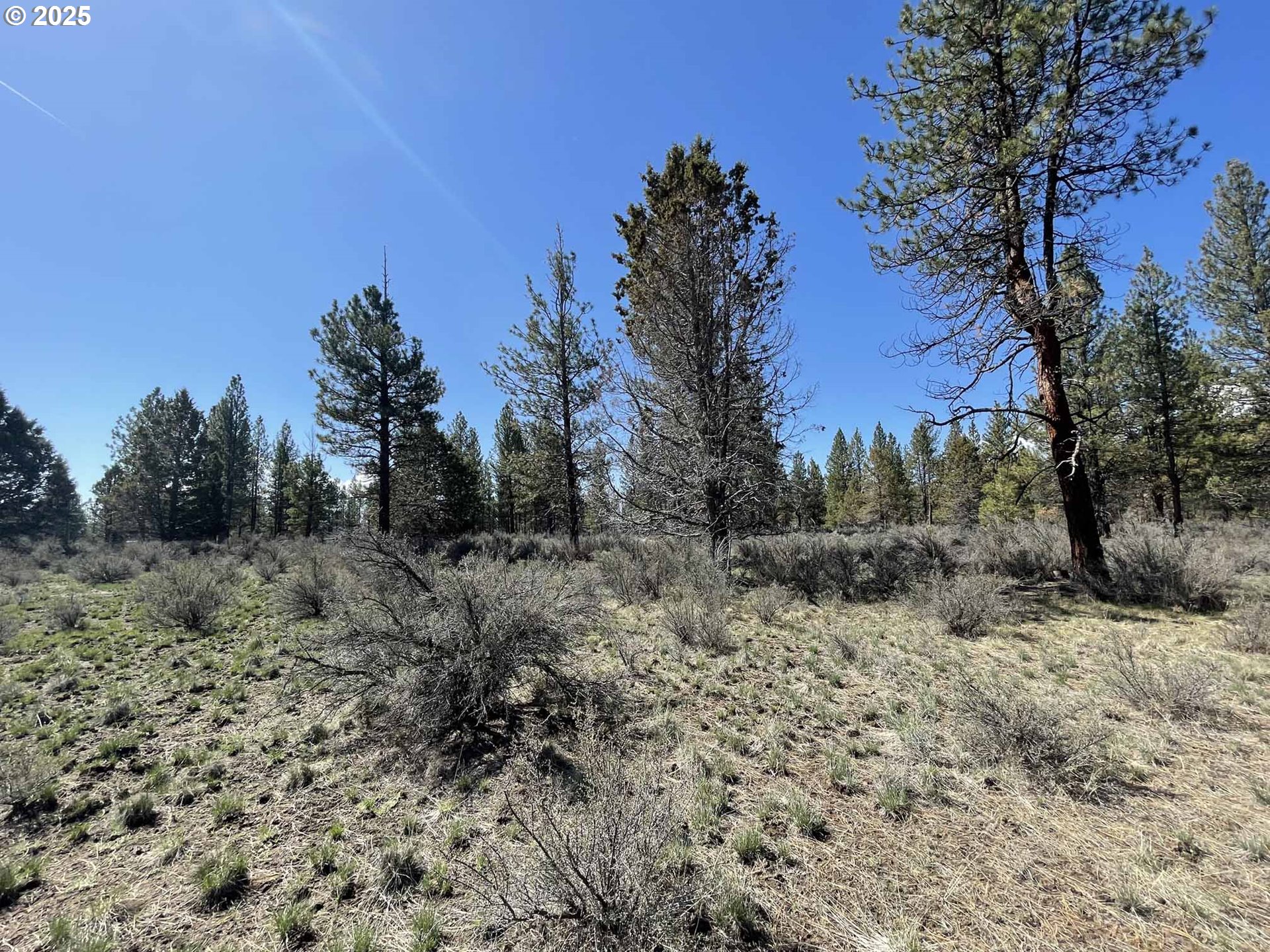 44 Off Nf Road, Unit 1600 Chiloquin, OR 97624 - Photo 19 of 33 a view of a dry yard with trees