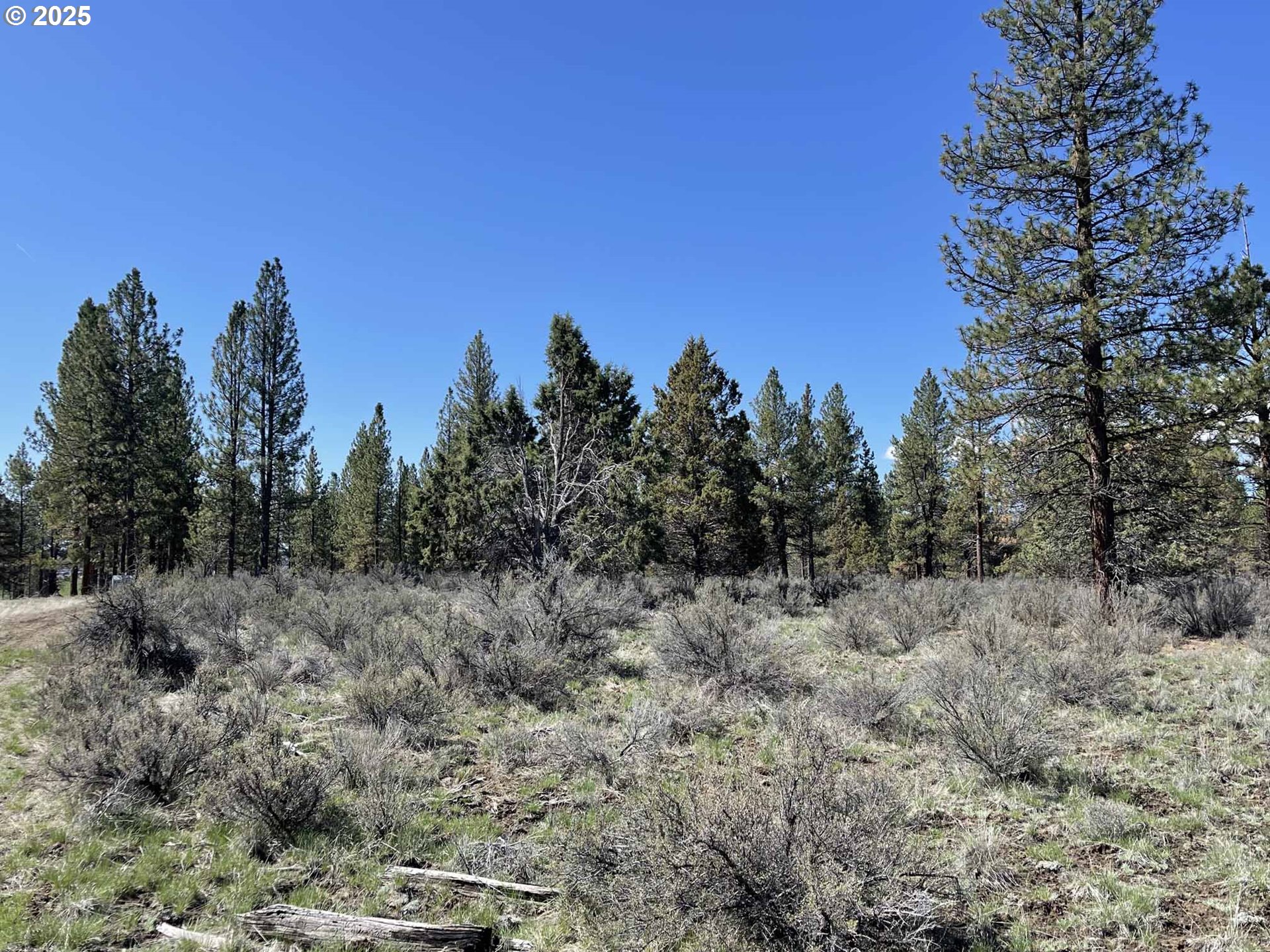 44 Off Nf Road, Unit 1600 Chiloquin, OR 97624 - Photo 2 of 33 a view of a dry field with trees in the background