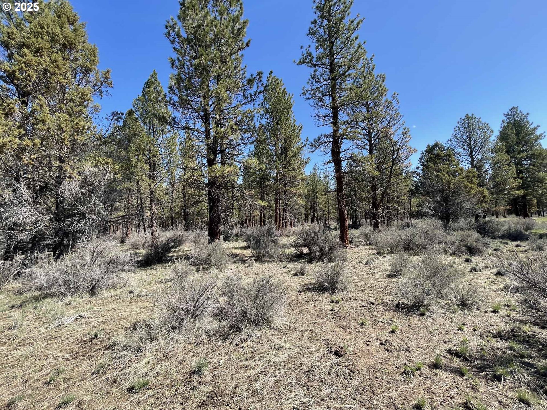 44 Off Nf Road, Unit 1600 Chiloquin, OR 97624 - Photo 22 of 33 a view of a covered with lots of trees