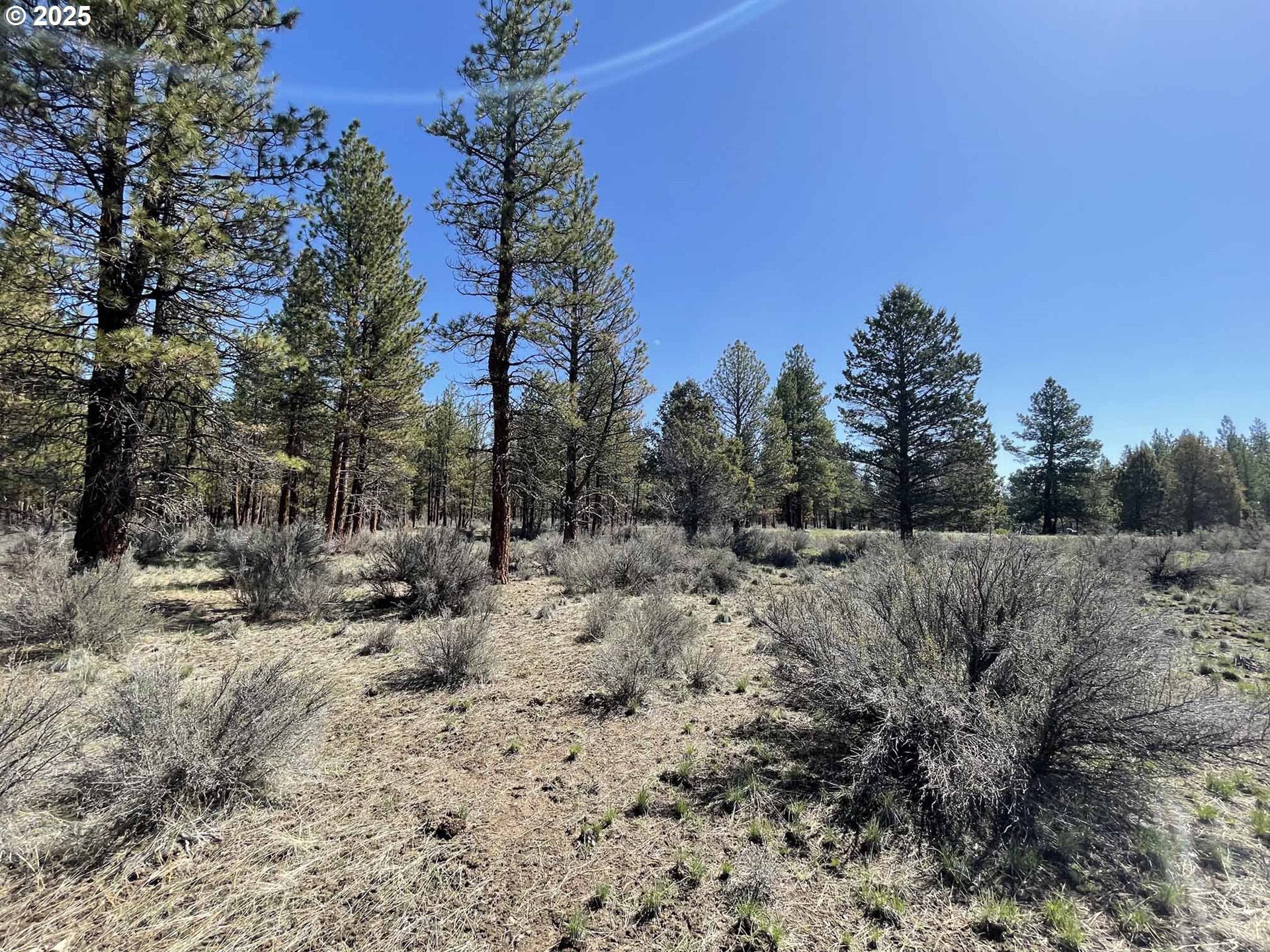 44 Off Nf Road, Unit 1600 Chiloquin, OR 97624 - Photo 23 of 33 a view of a dry yard with trees