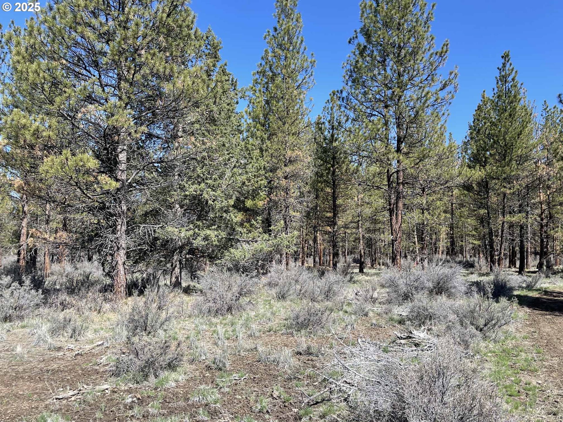 44 Off Nf Road, Unit 1600 Chiloquin, OR 97624 - Photo 8 of 33 a view of outdoor space and trees