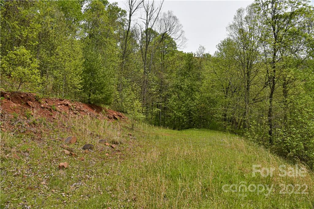 24 Poplar Forest Road, Unit 1 2 & 3 Fairview, NC 28730 - Photo 8 of 43 Gallery Image 8