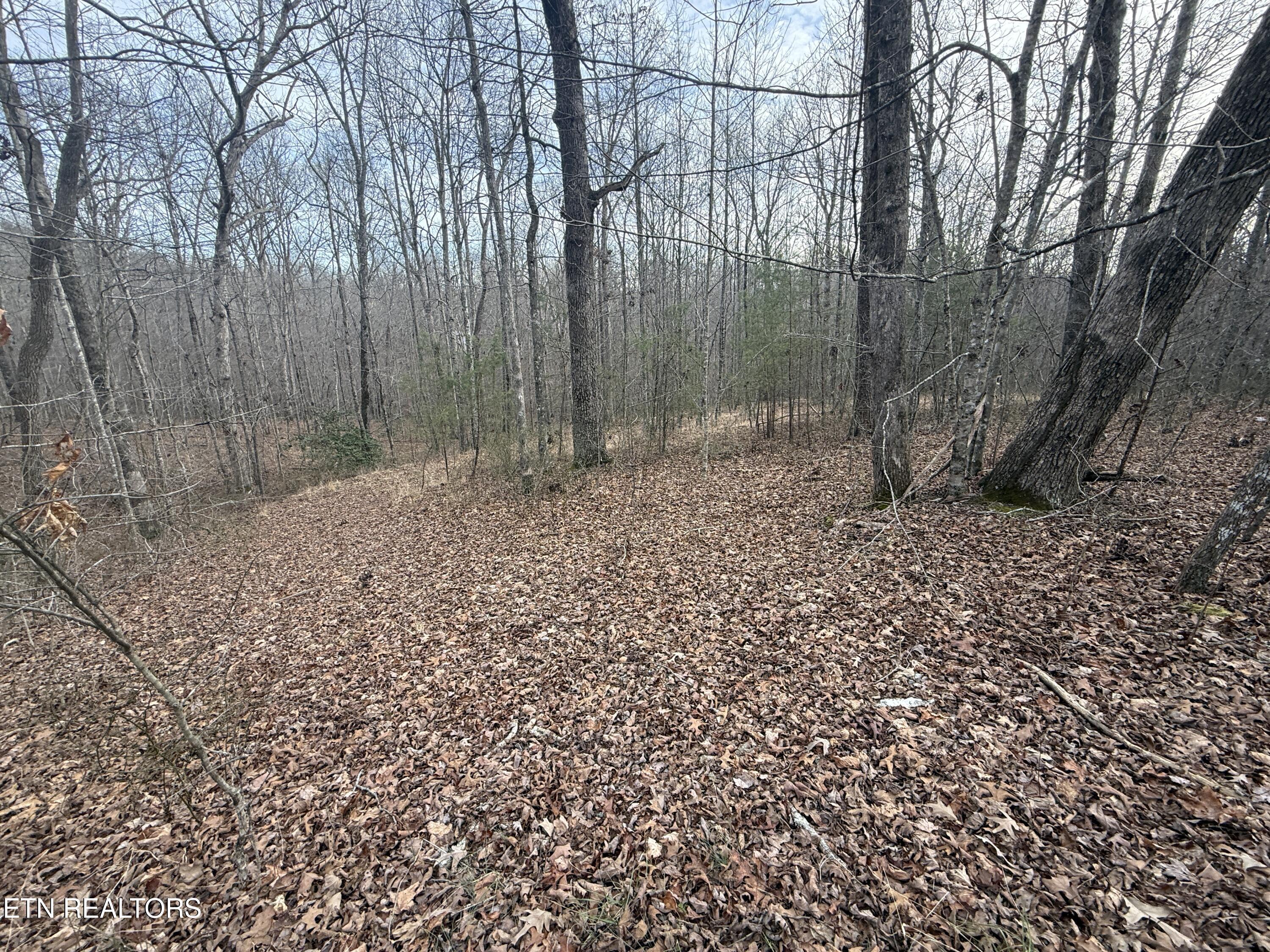 Lot 17 T Road Monterey, TN 38574 - Photo 2 of 5 IMG_3592