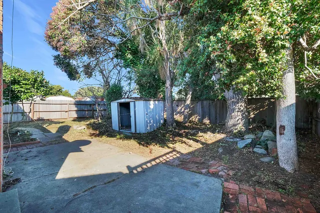 a view of a backyard with tree s