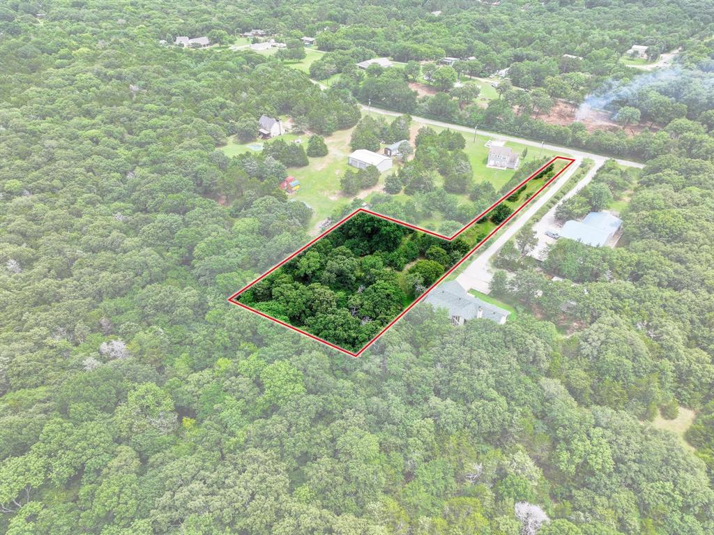 207 Paradise Park Road Pottsboro, TX 75076 - Photo 17 of 28 Expansive wooded lot with defined boundaries