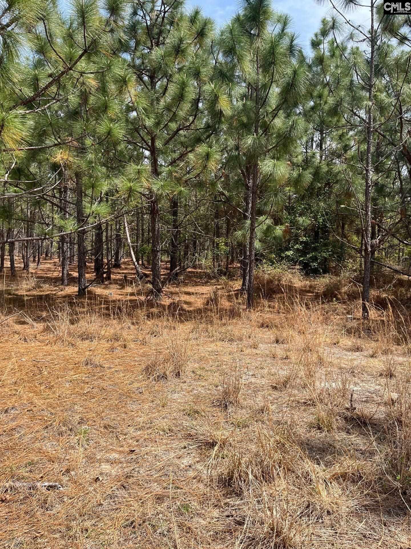 5 Beaver Dam Road Cassatt, SC 29032 - Photo 10 of 17
