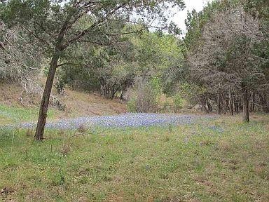 350 Bluff Road Spicewood, TX 78669 - Photo 4 of 22