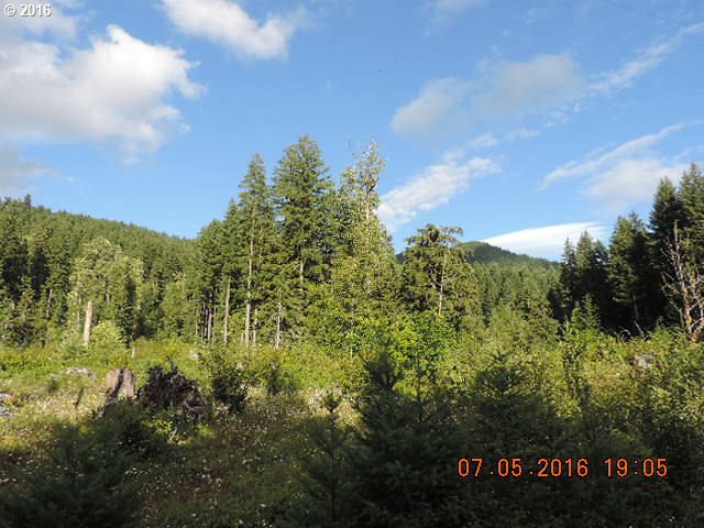 422 Leete Road Carson, WA 98610 - Photo 3 of 9 Gallery Image 3