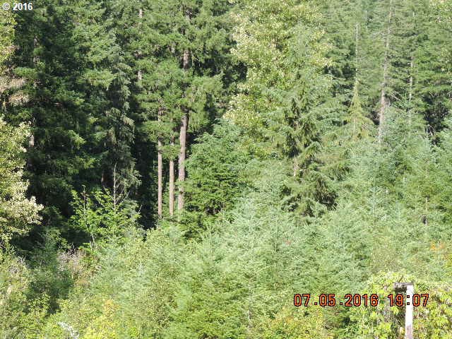 422 Leete Road Carson, WA 98610 - Photo 7 of 9 Gallery Image 7