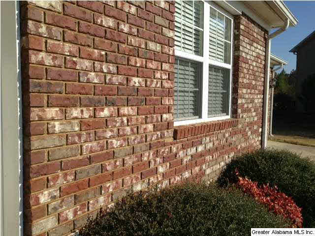 326 Twin Ridge Circle Lincoln, AL 35096 - Photo 3 of 26