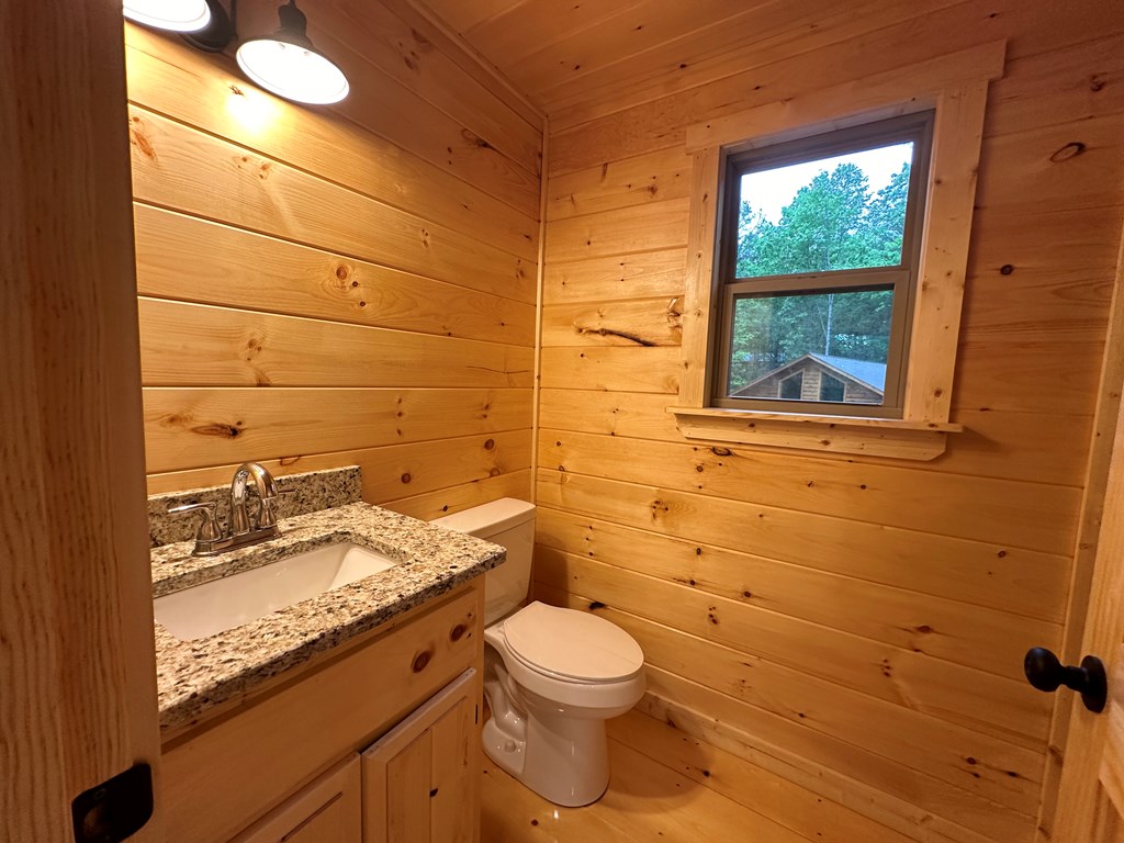 24 Lakeside View Trail Murphy, NC 28906 - Photo 19 of 20 a bathroom with a granite countertop toilet sink and mirror