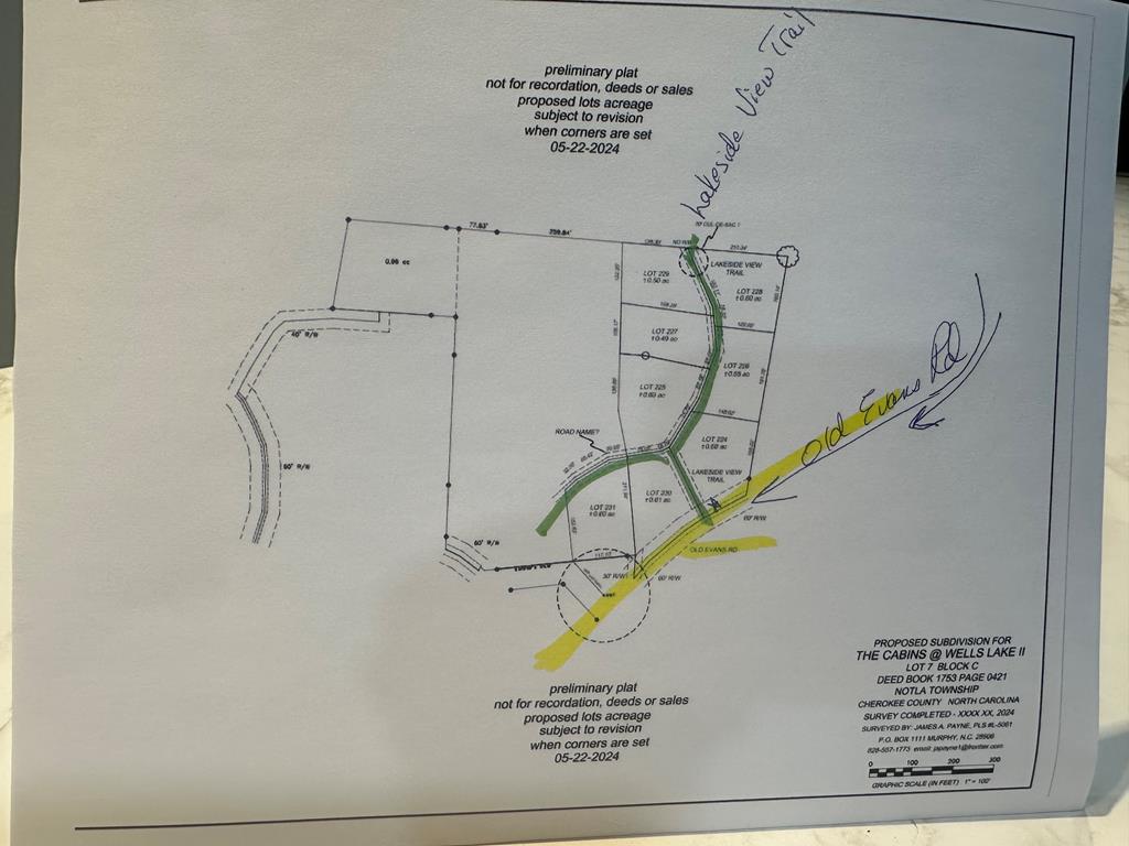 24 Lakeside View Trail Murphy, NC 28906 - Photo 3 of 20