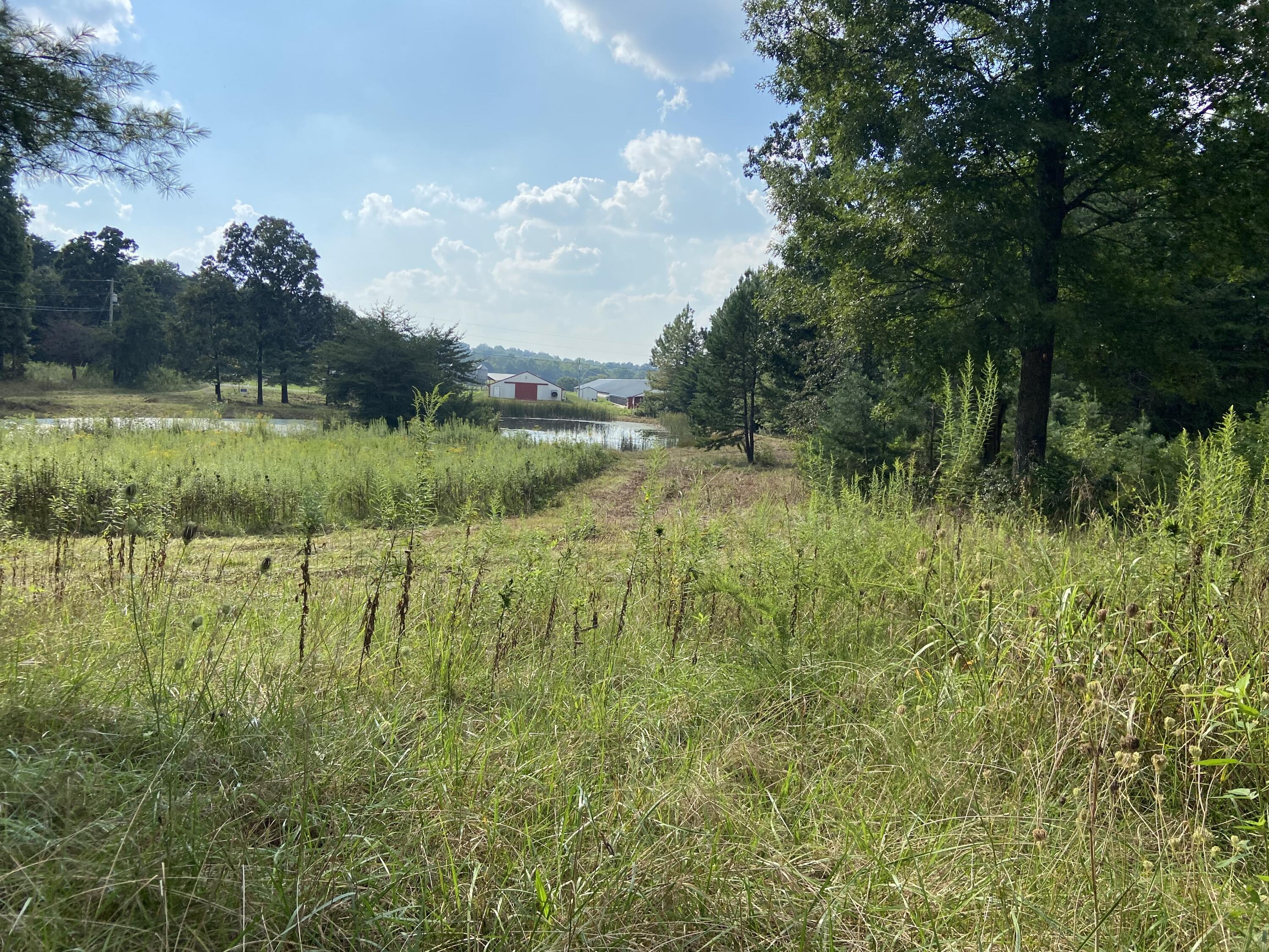 350 Abigail Trail Deer Lodge, TN 37726 - Photo 2 of 10 IMG-3925