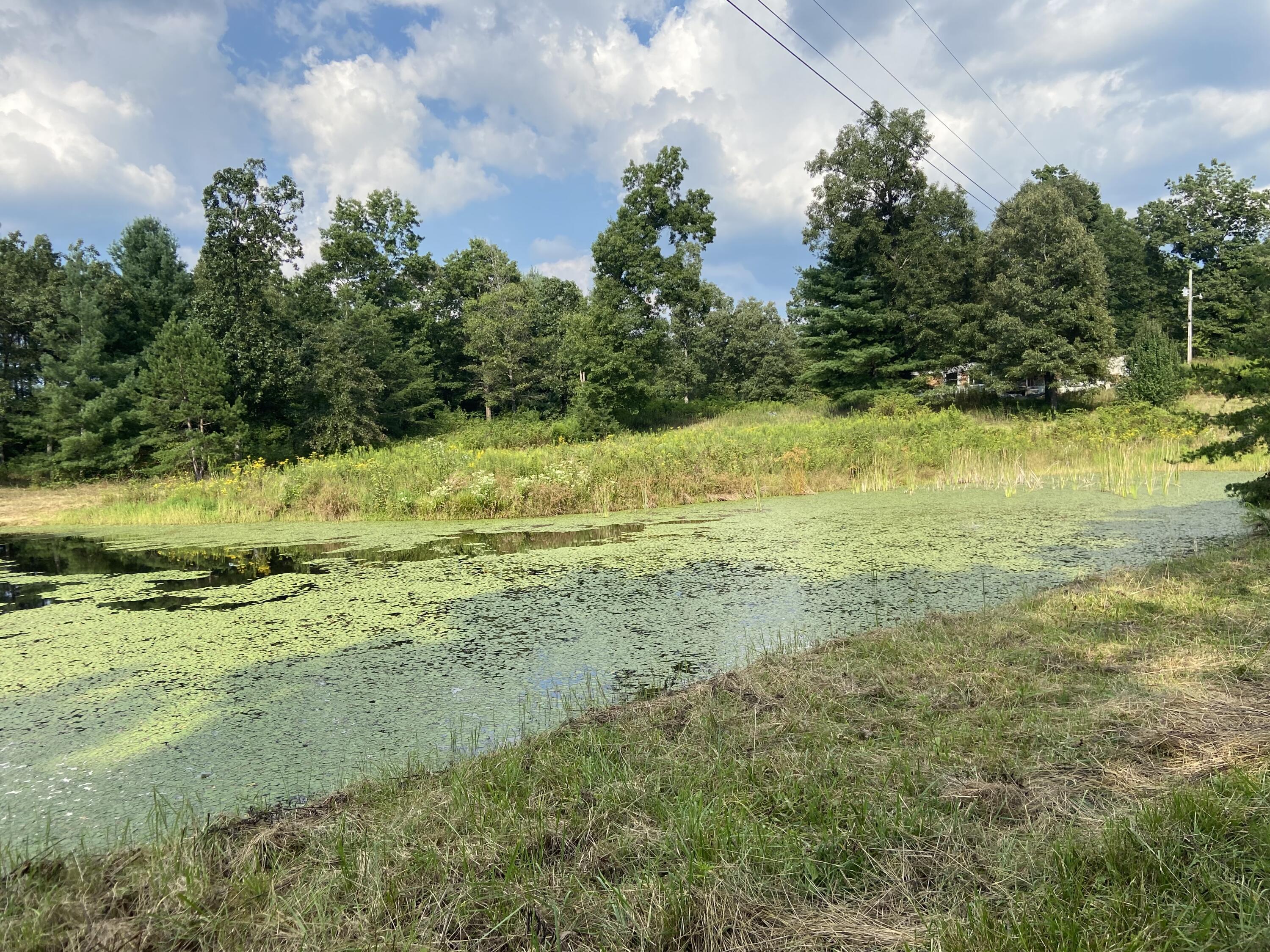 350 Abigail Trail Deer Lodge, TN 37726 - Photo 3 of 10 IMG-3932