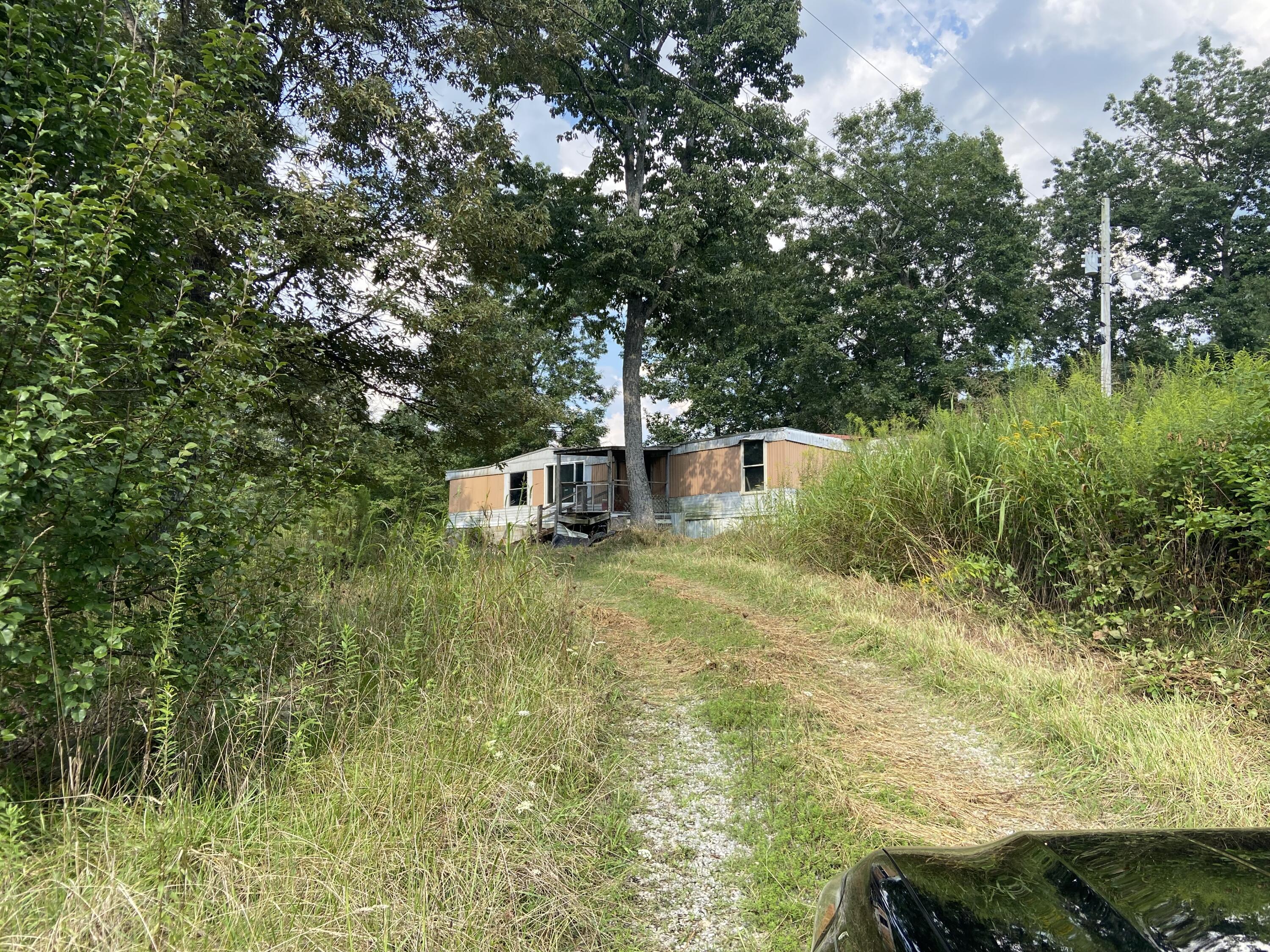 350 Abigail Trail Deer Lodge, TN 37726 - Photo 4 of 10 IMG-3923