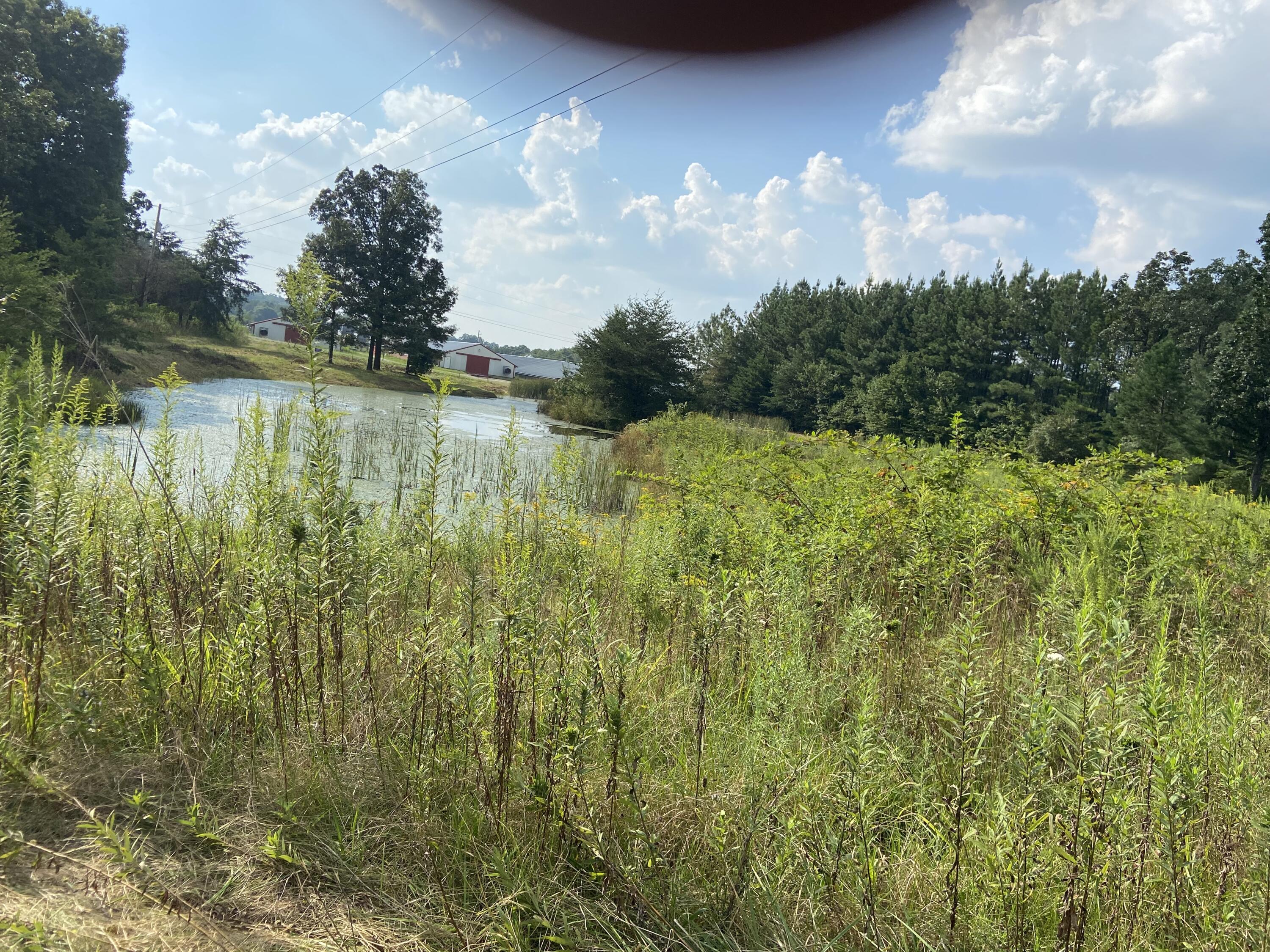 350 Abigail Trail Deer Lodge, TN 37726 - Photo 5 of 10 IMG-3927