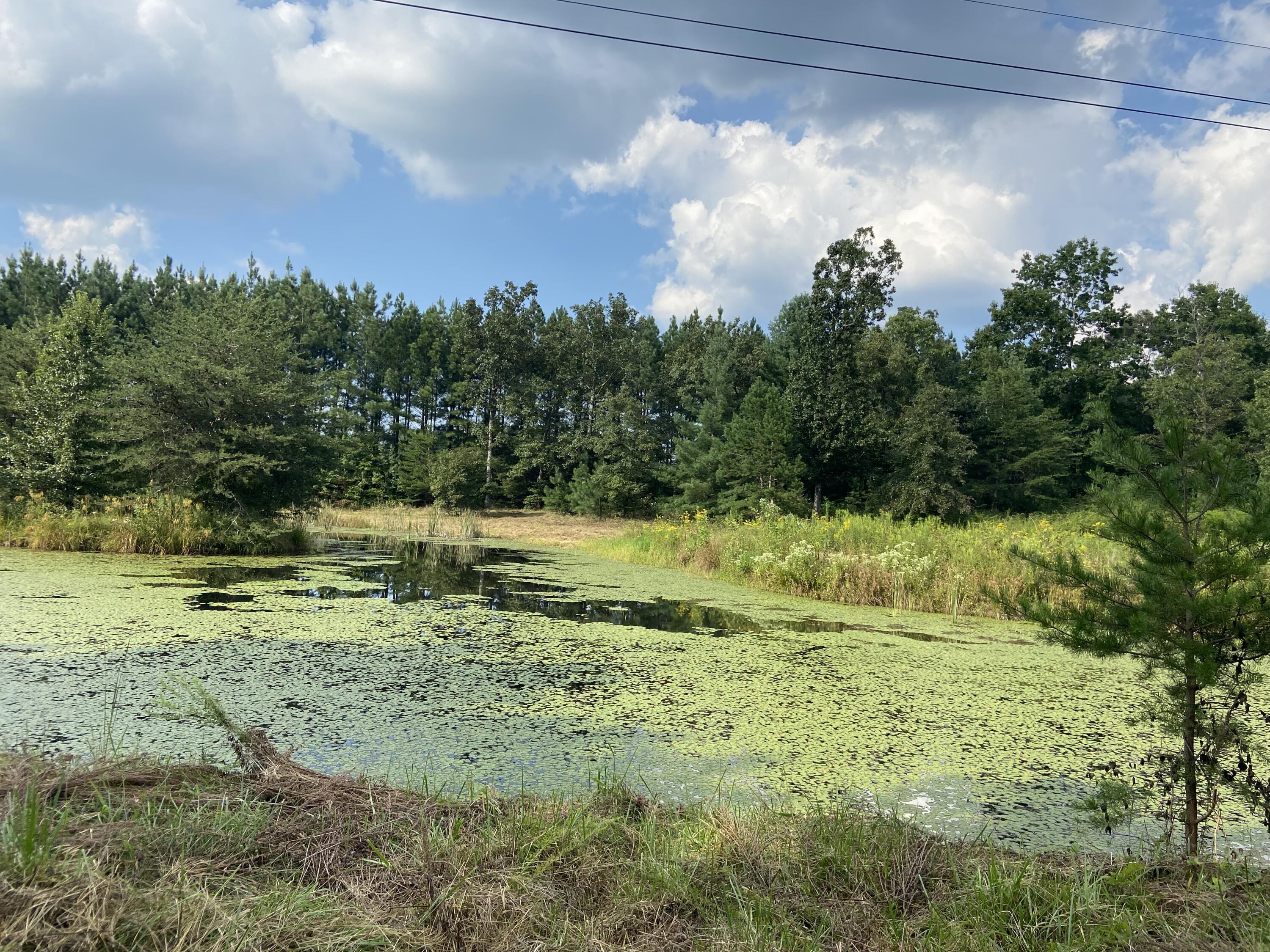 350 Abigail Trail Deer Lodge, TN 37726 - Photo 6 of 10 IMG-3928