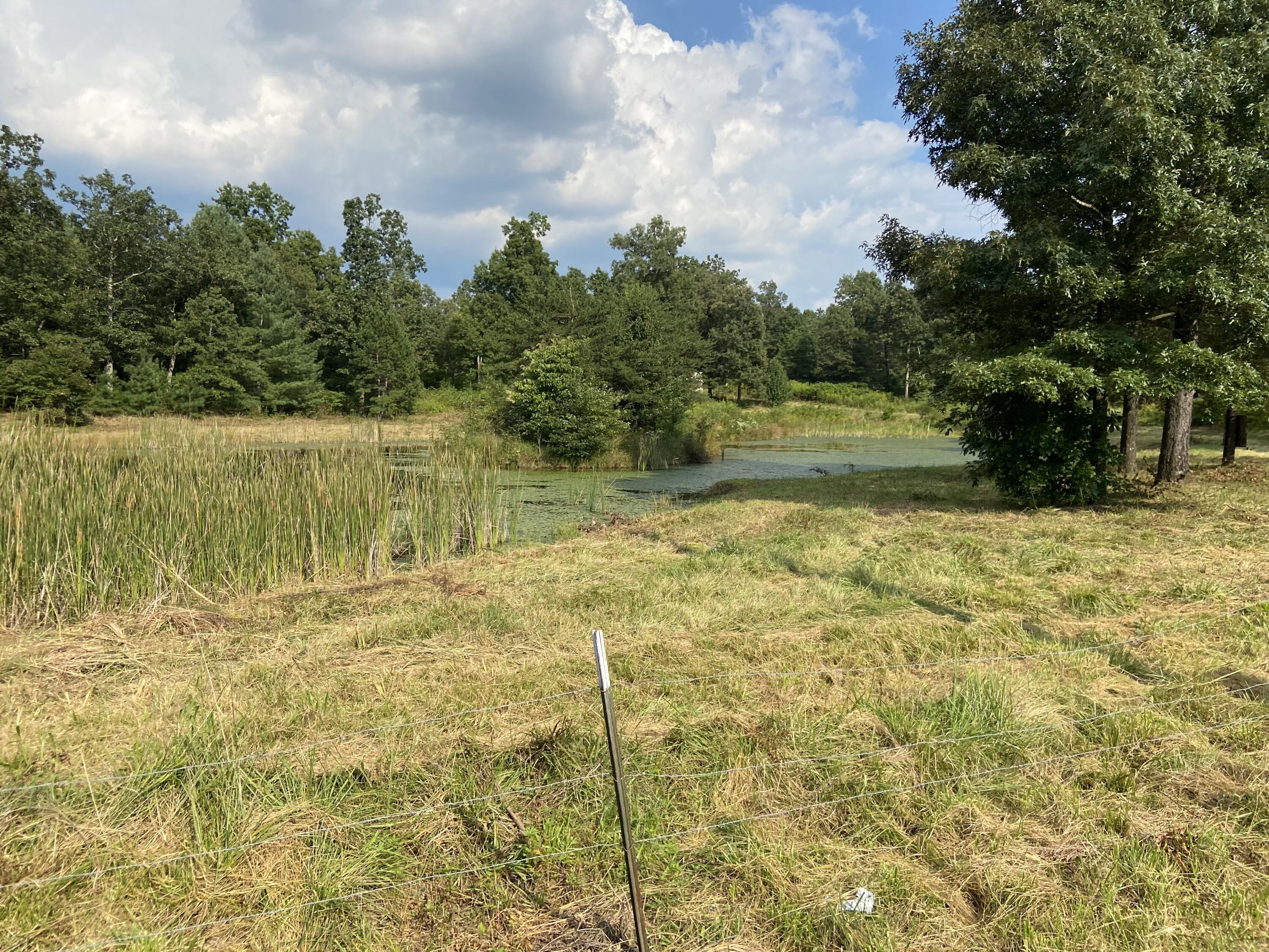 350 Abigail Trail Deer Lodge, TN 37726 - Photo 7 of 10 IMG-3934