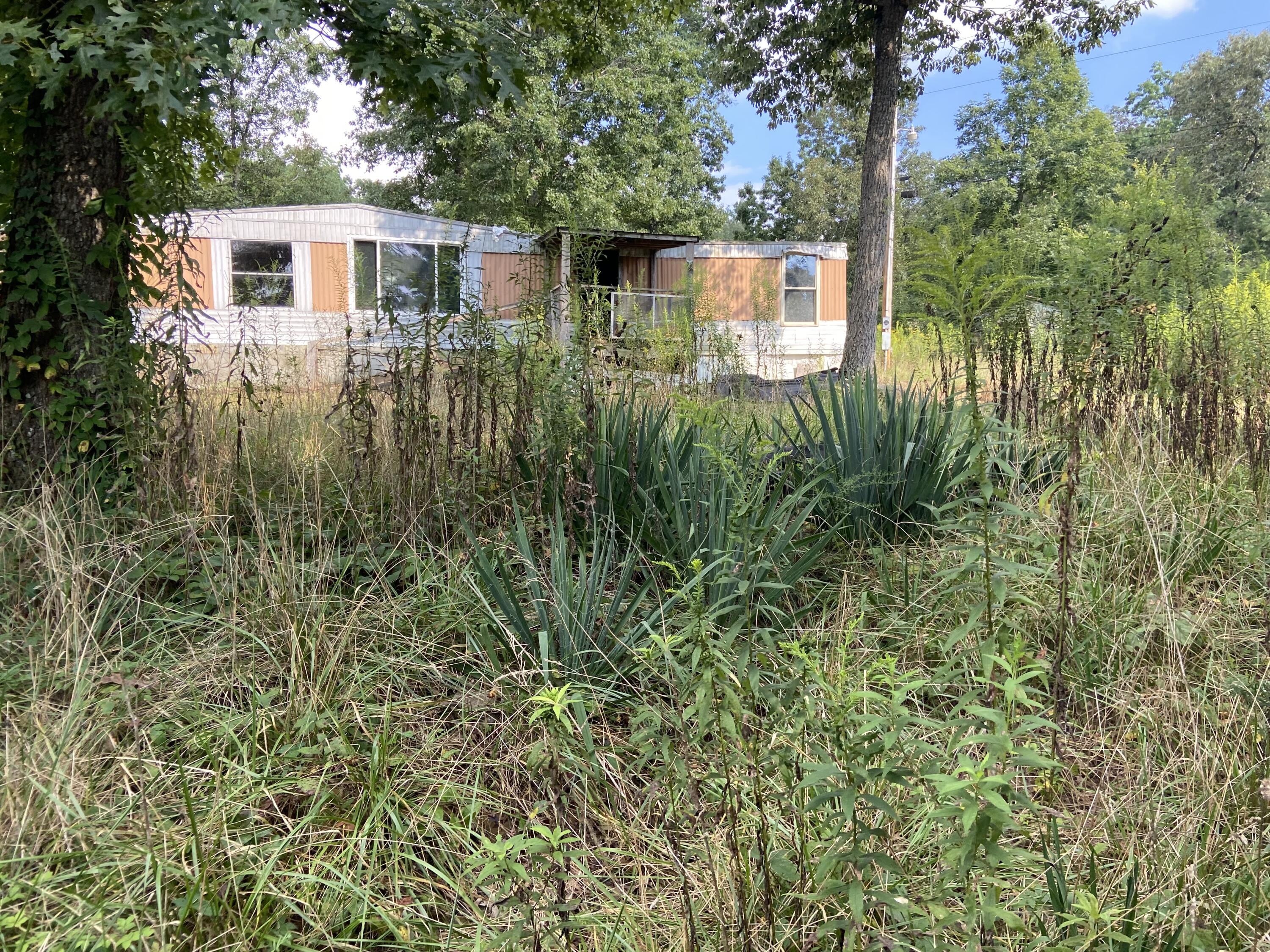 350 Abigail Trail Deer Lodge, TN 37726 - Photo 9 of 10 IMG-3926