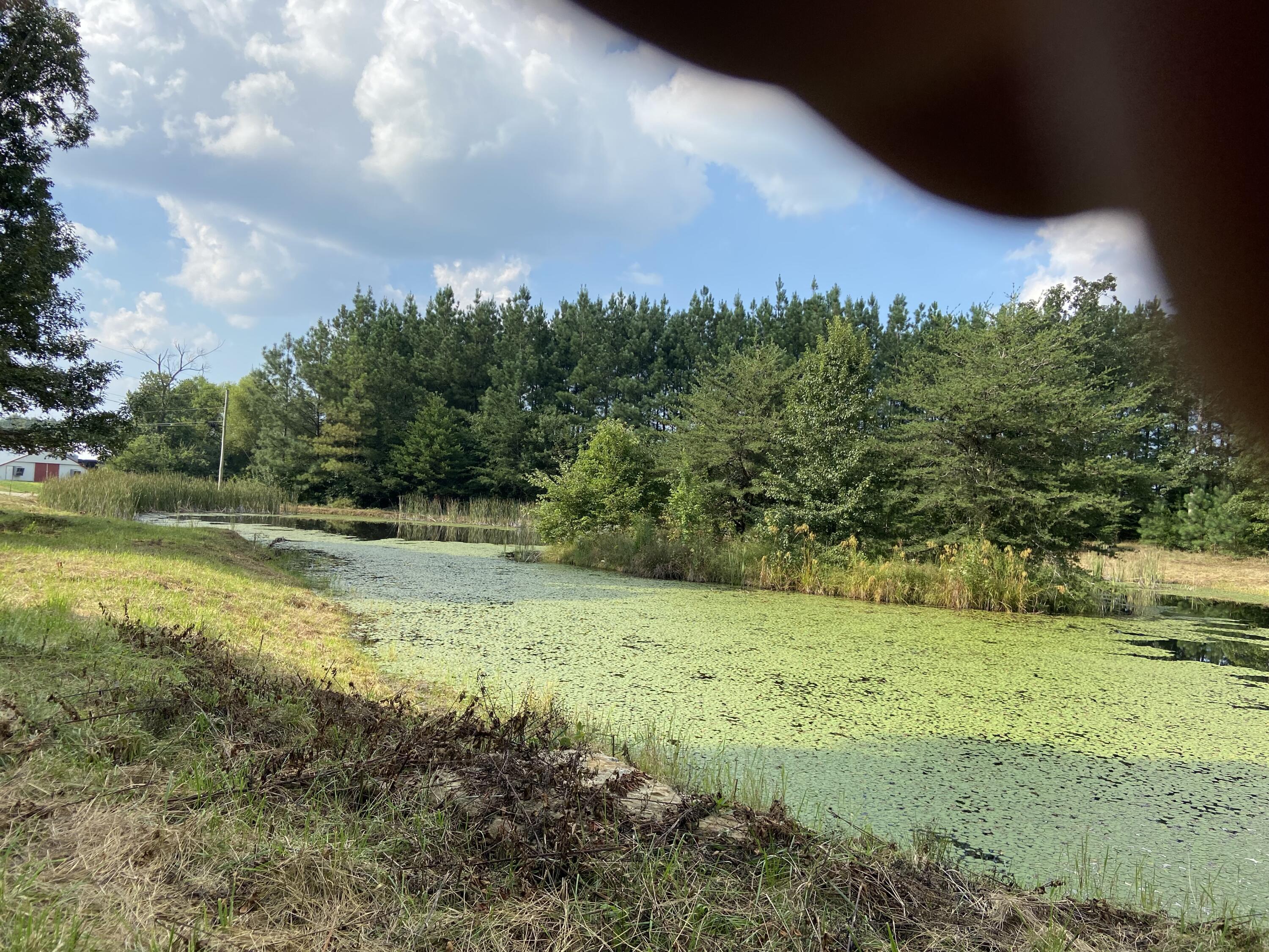 350 Abigail Trail Deer Lodge, TN 37726 - Photo 10 of 10 IMG-3929