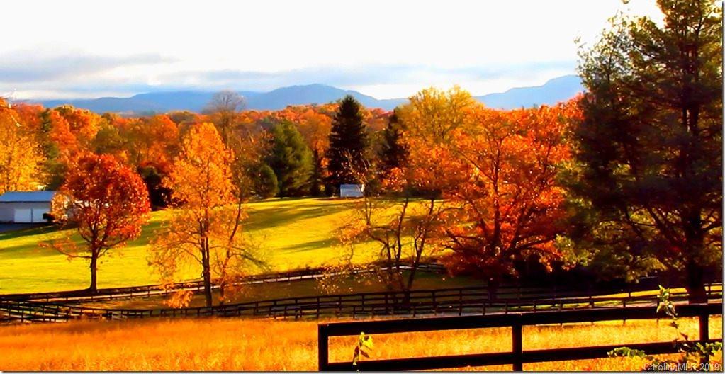 17 Old Bishop Farm Road Arden, NC 28704 - Photo 1 of 6 Gallery Image 1