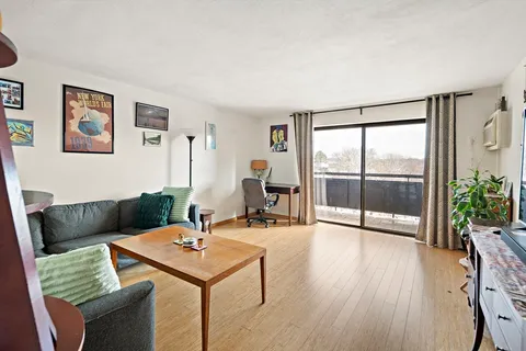 a living room with furniture a potted plant and a large window