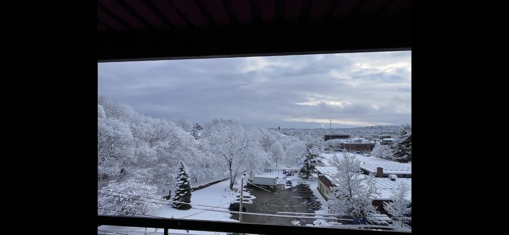 32 Whites Avenue, Unit D65 Watertown, MA 02472 - Photo 16 of 31