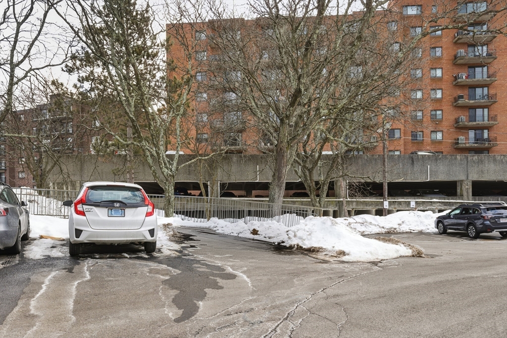 32 Whites Avenue, Unit D65 Watertown, MA 02472 - Photo 23 of 28