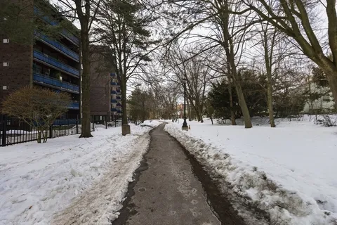 a view of a park