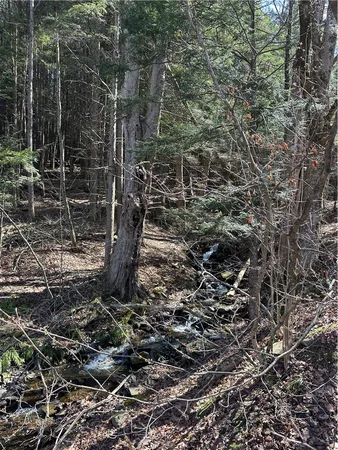 $295,000 | 1444 County Highway, Unadilla, NY 13849