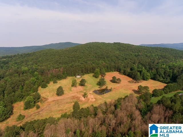 0 Stone Ridge Trail, Unit 50 87 Anniston, AL 36207 - Photo 14 of 15