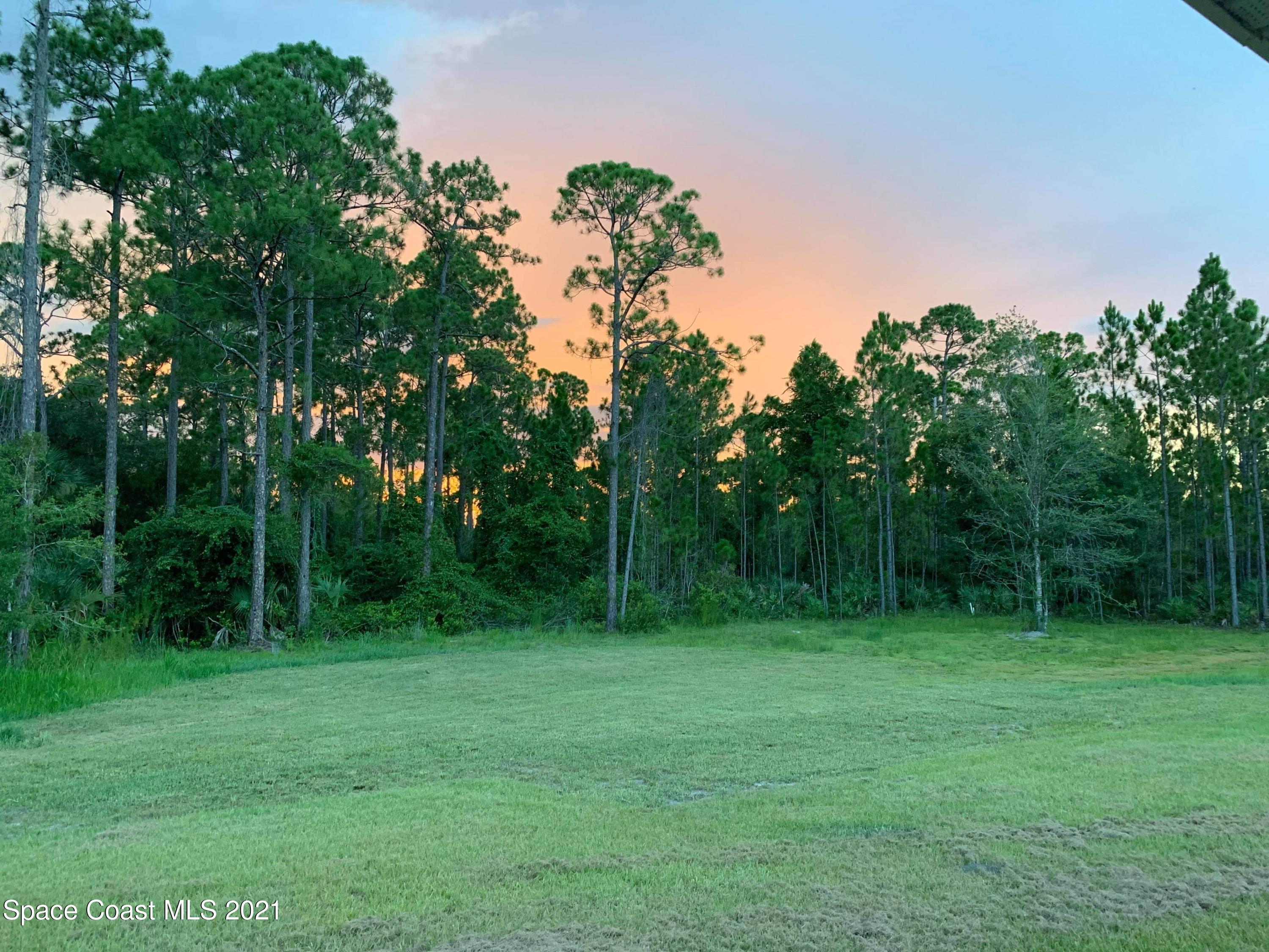 1360 Snapping Turtle Road Mims, FL 32754 - Photo 38 of 43 Image-1