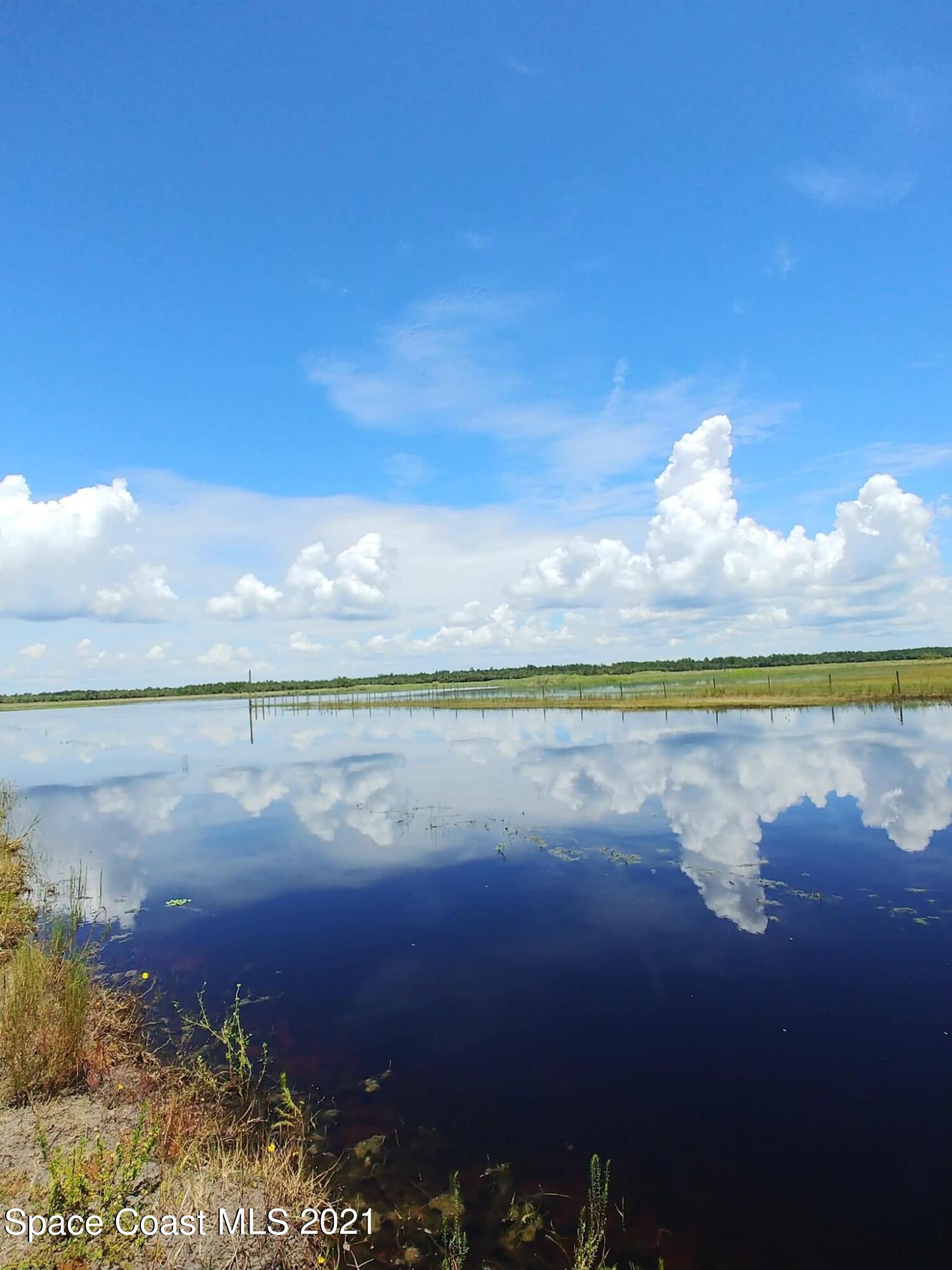1360 Snapping Turtle Road Mims, FL 32754 - Photo 39 of 43 IMG_4573