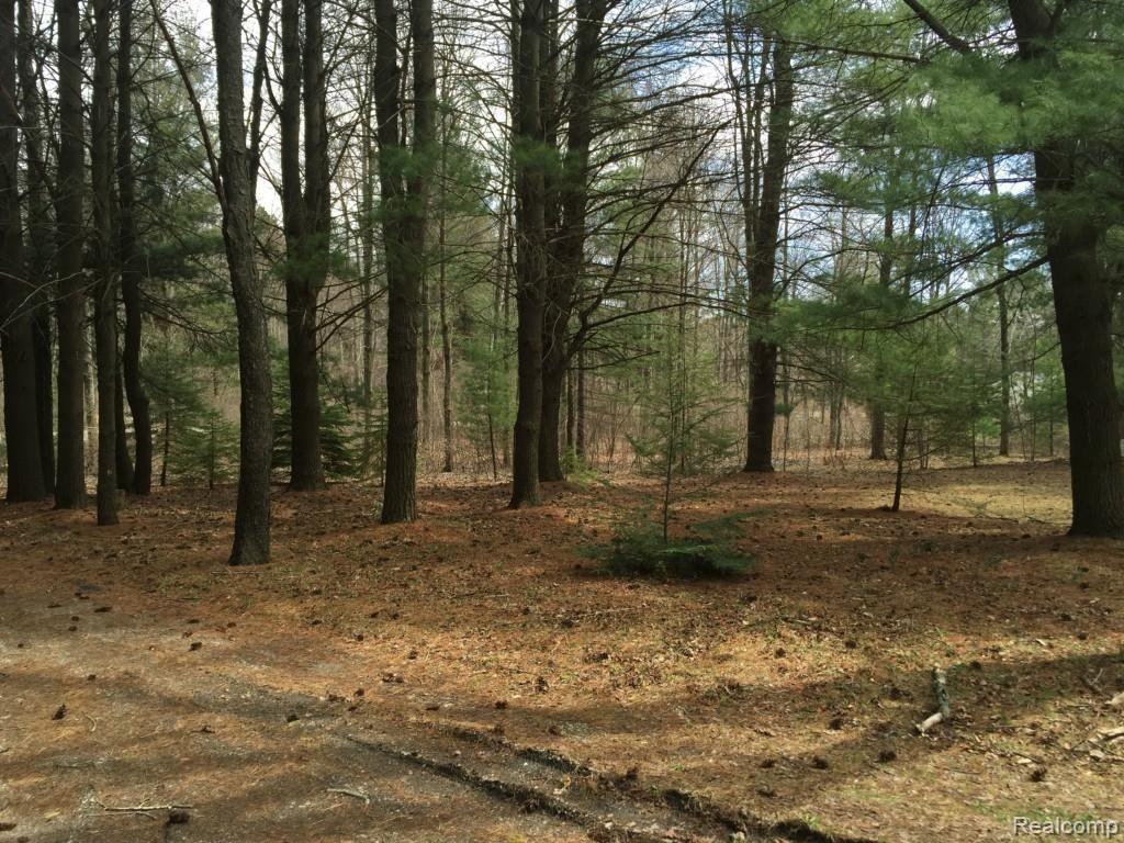 4135 Abbottsford Road North Street, MI 48049 - Photo 2 of 18 001.jpg