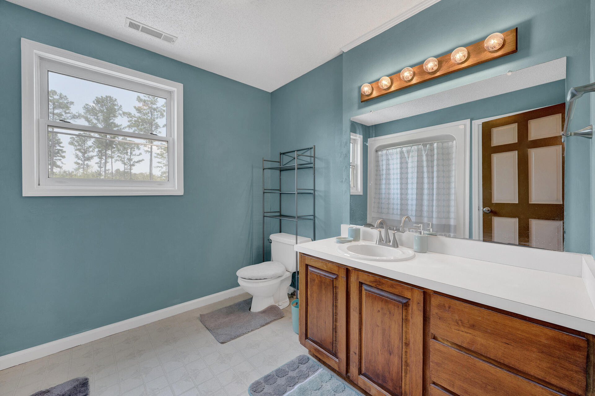 8957 Low Country Highway Ruffin, SC 29475 - Photo 29 of 40 8957Lowcountry-22