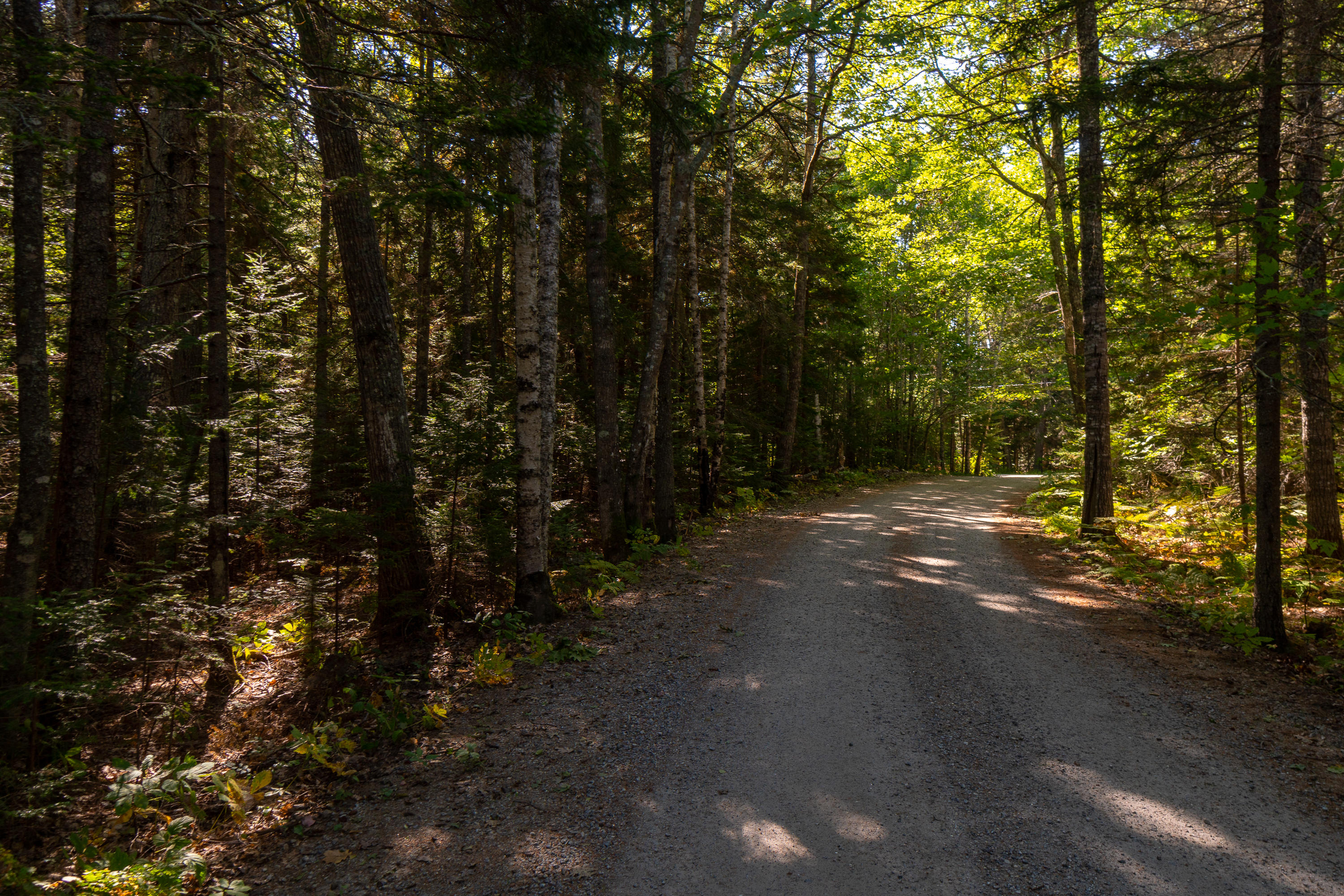 0 Spruce Point Road Bremen, ME 04551 - Photo 28 of 32 (29)_Land - Spruce Point Rd. Bremen, ME(