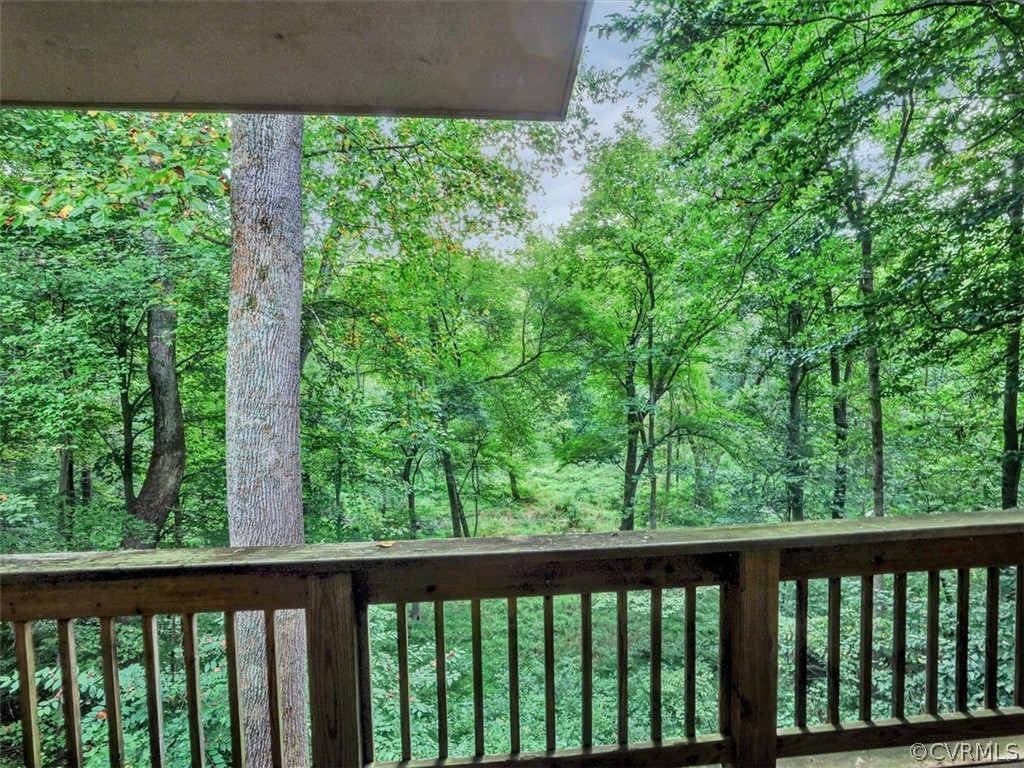 7461 Pine Ridge Road Mechanicsville, VA 23116 - Photo 42 of 42 a view of a forest from balcony