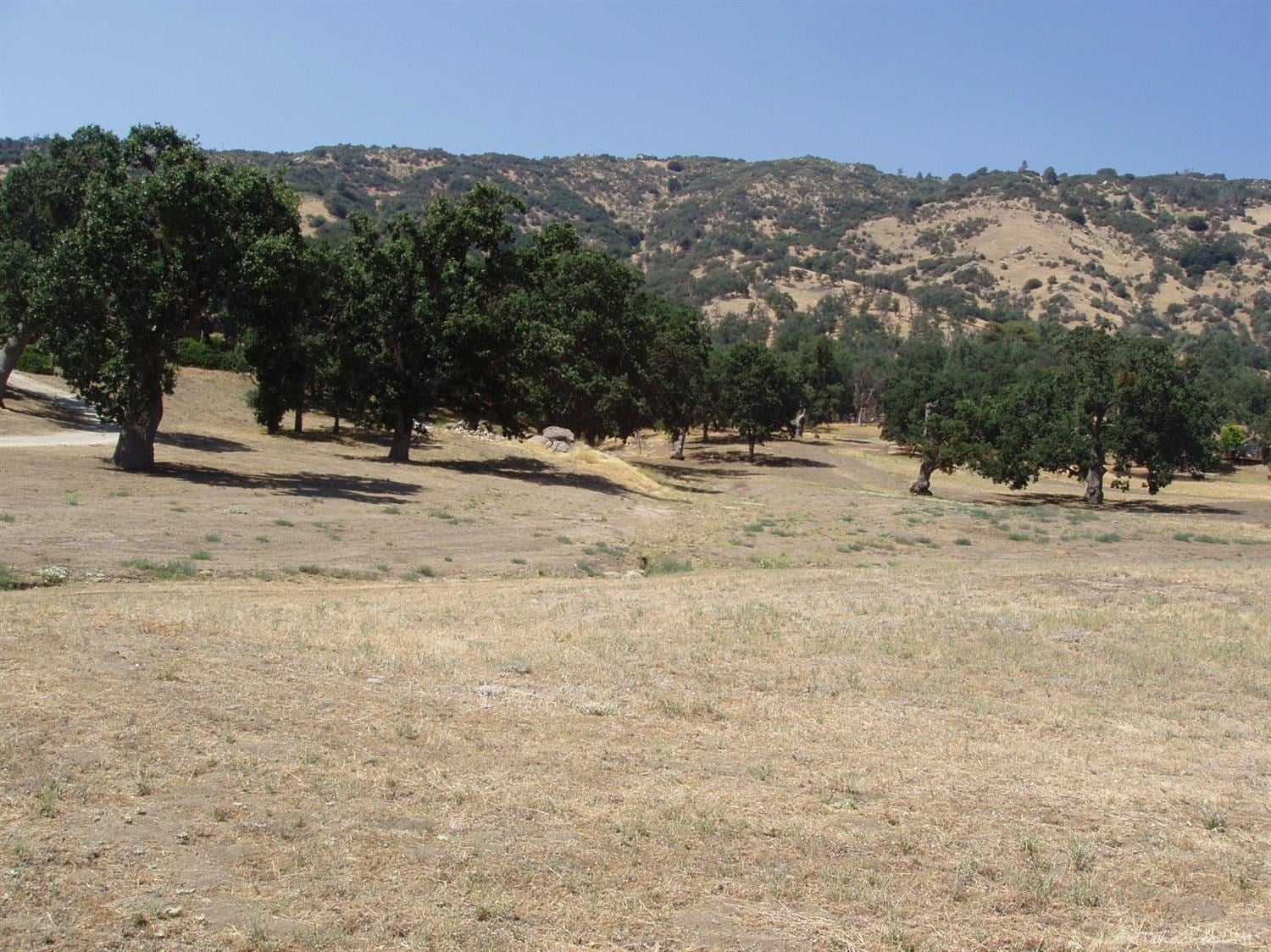 27901 Bear Valley Road Tehachapi, CA 93561 - Photo 12 of 21 Gallery Image 12