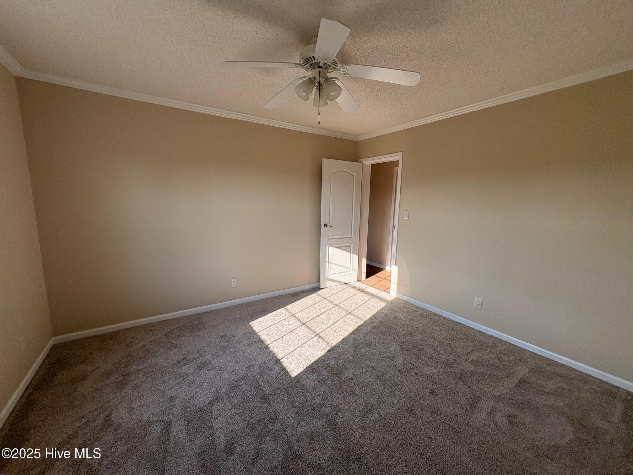 419 Shadneck Road Elizabeth City, NC 27909 - Photo 26 of 37 419 BR 3 view