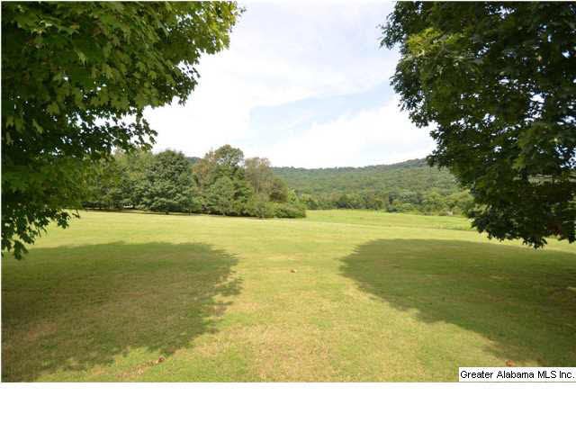 2973 Woods Cove Road Scottsboro, AL 35768 - Photo 29 of 29