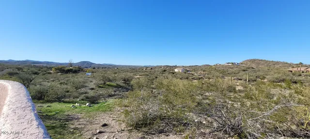 a view of a mountain range with trees in the background