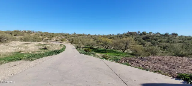 a view of a road with a yard